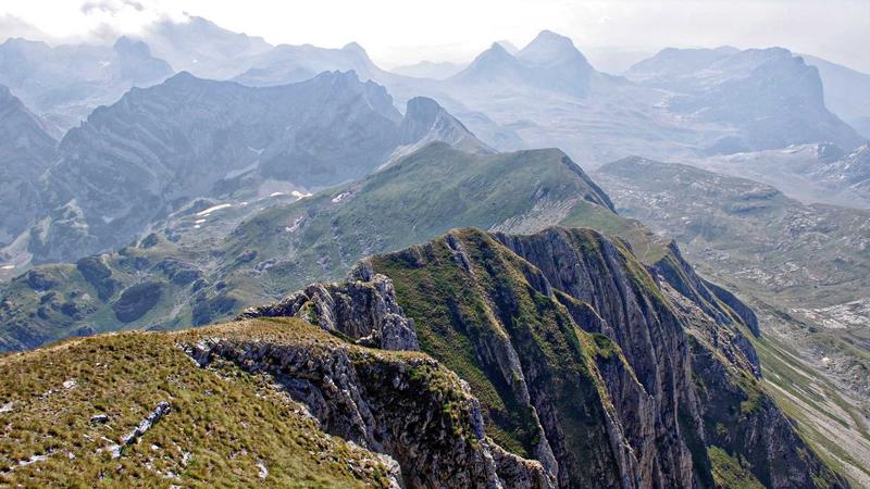 小蓝gv服务团队协作场景